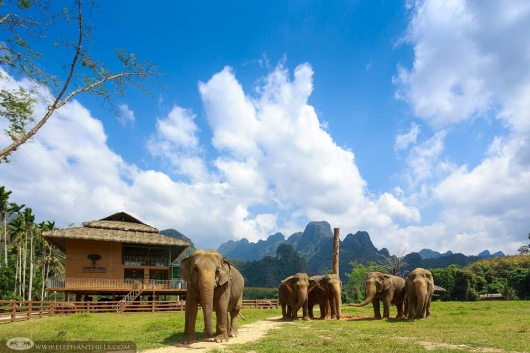Elephant Hills Khao Sok