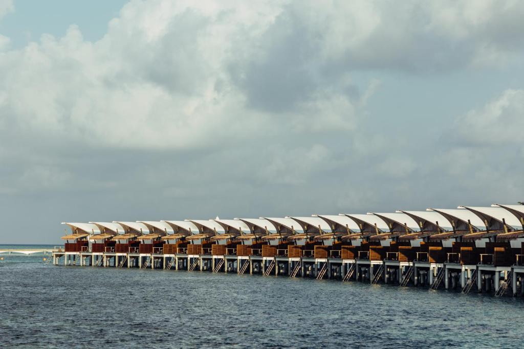 Cinnamon Hakuraa Huraa