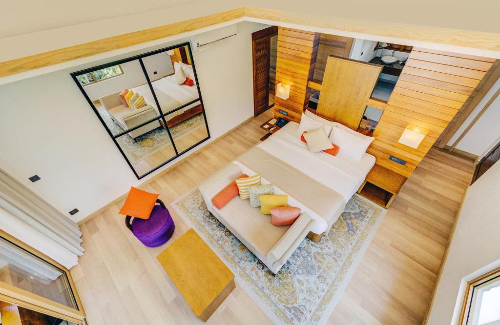 Cinnamon Hakuraa Huraa