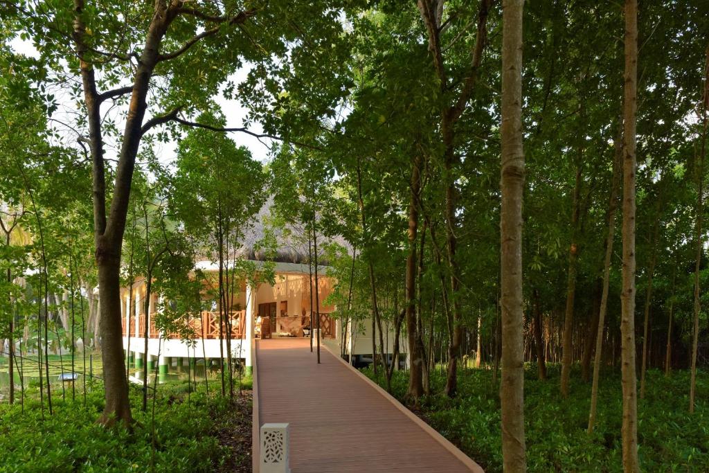 Dreamland Maldives Resort