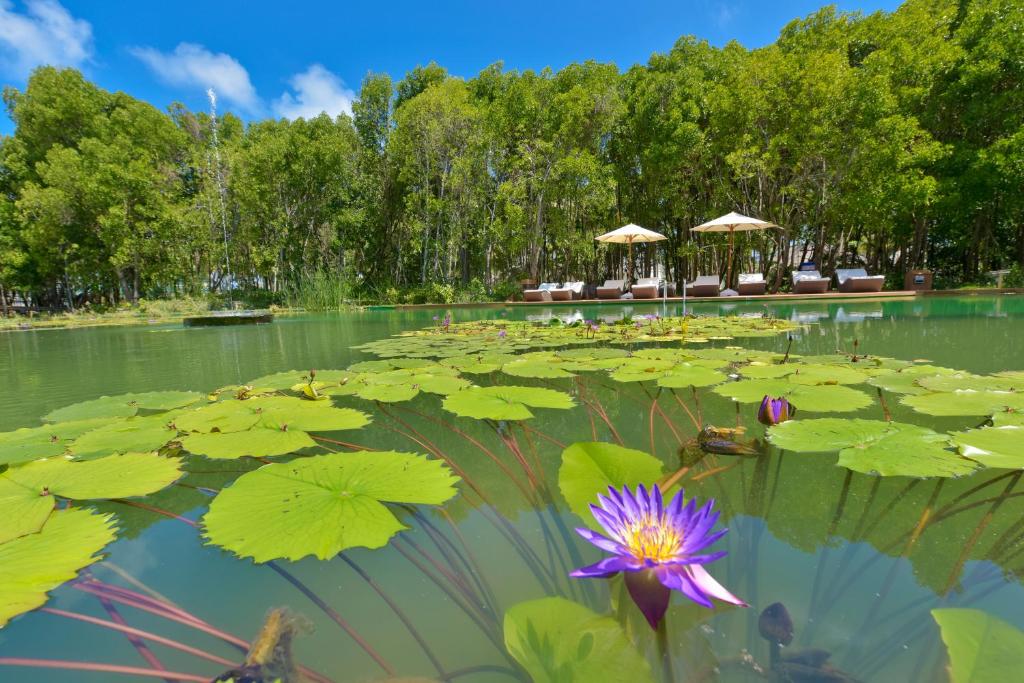 Dreamland Maldives Resort