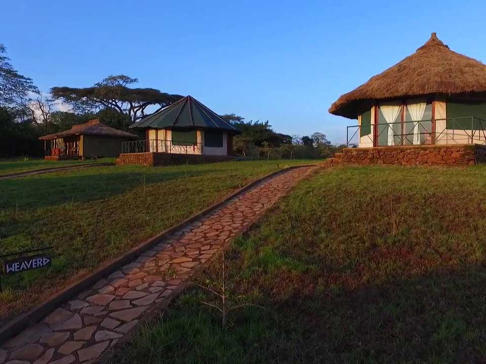 Tanzania Classic – Simba Lodges