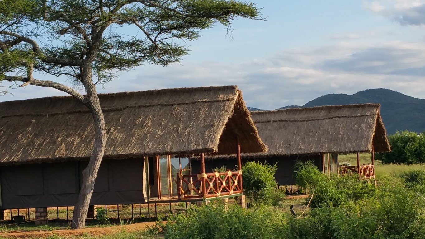 Tanzania Classic – Simba Lodges