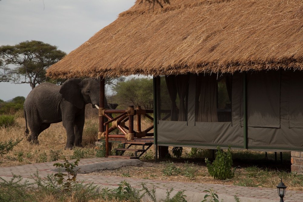 Tanzania Classic – Simba Lodges